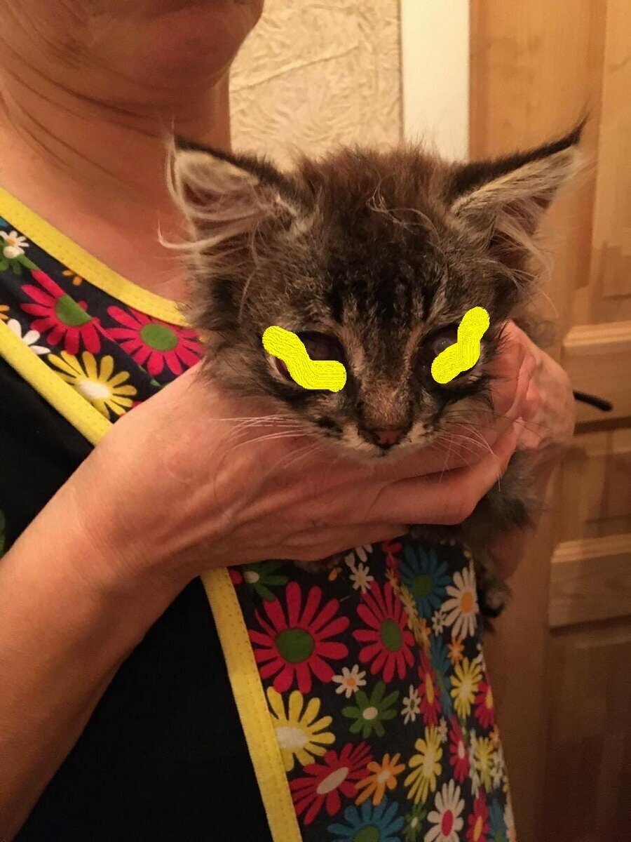 Пост о малыше в интернете