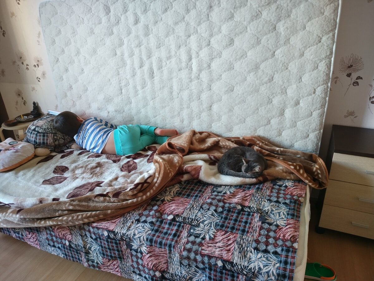 Сон с кошкой после долгой прогулки.