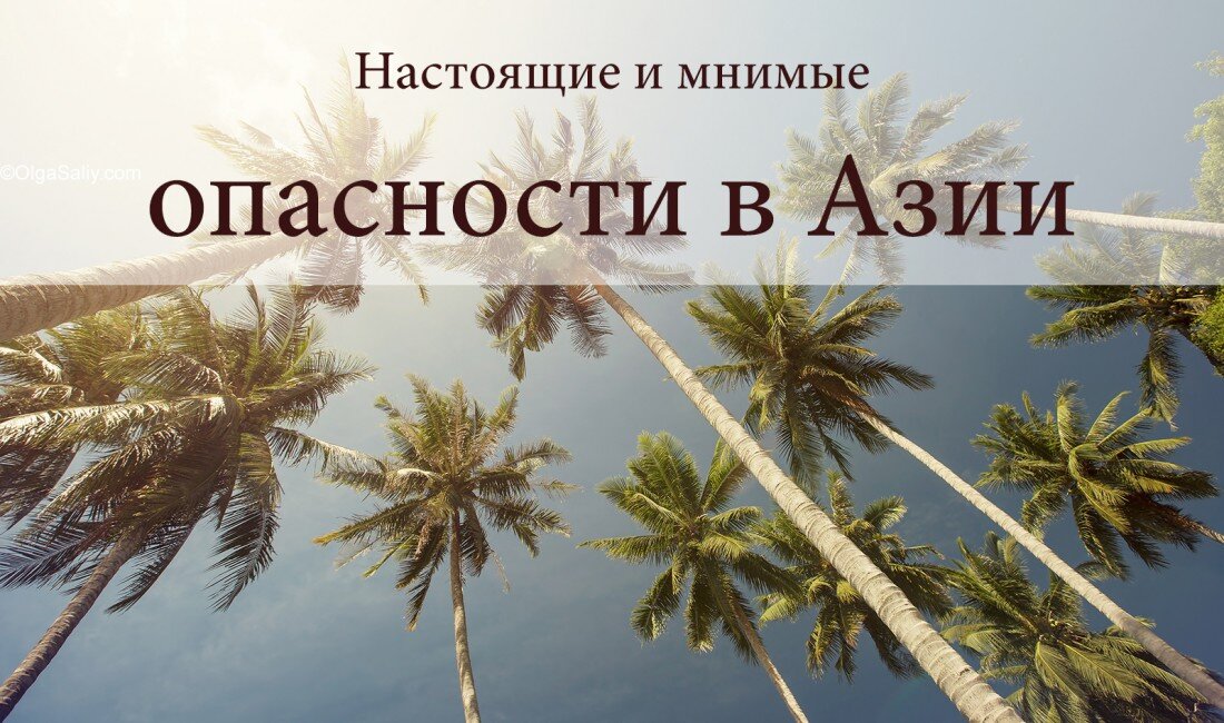 А вы знаете, что люди иногда погибают от падения кокосов на голову с этой красоты?