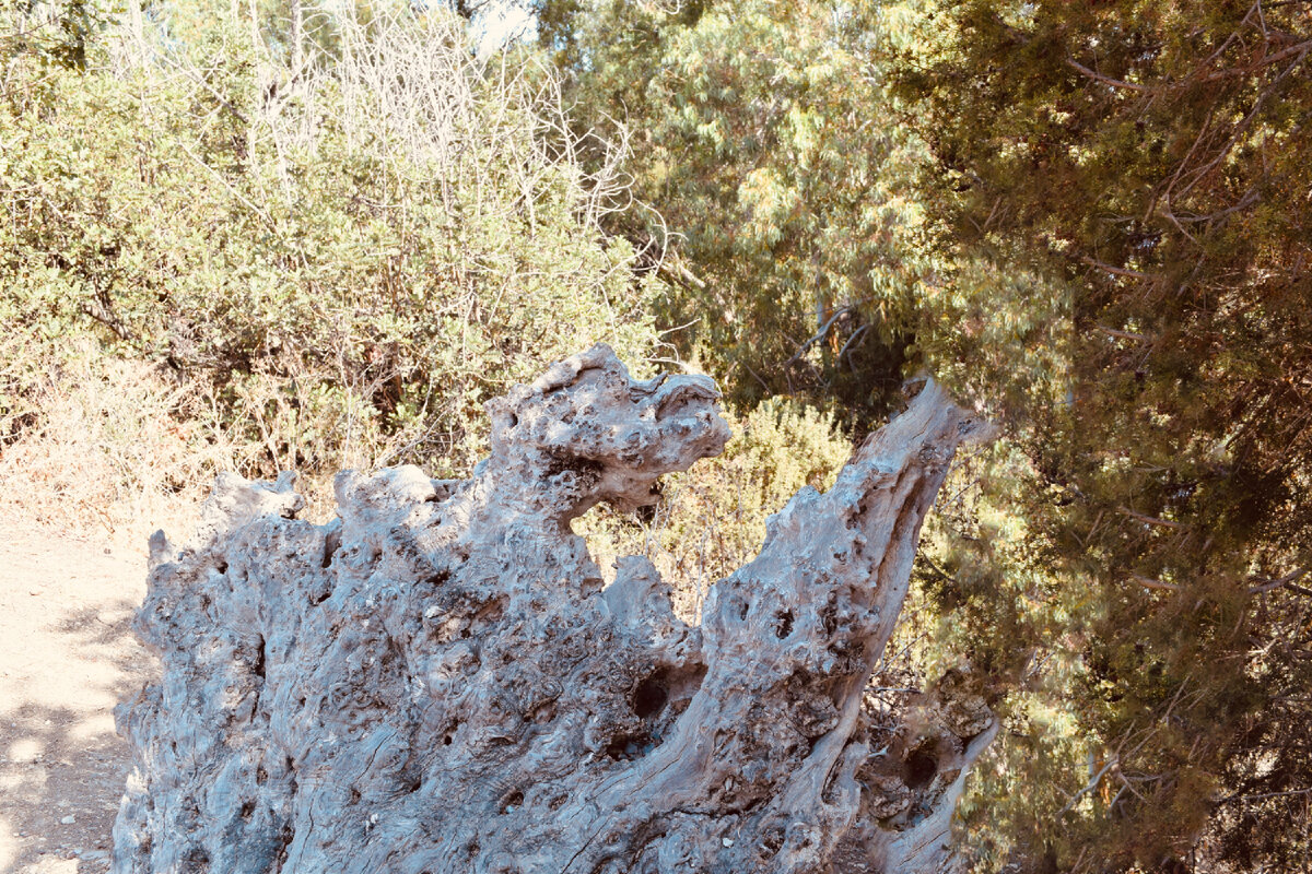 Возле этого камня я так и не смогла сфотографироваться. Ящерица, которая видимо жила там, настойчиво отгонялась меня, как только я пыталась приблизится)