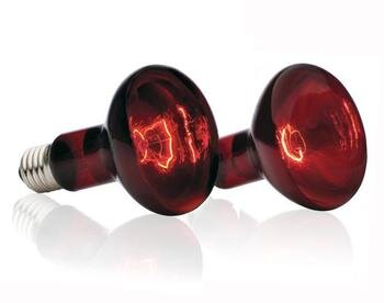 Инфракрасные лампы (фото Яндекс-картинки)