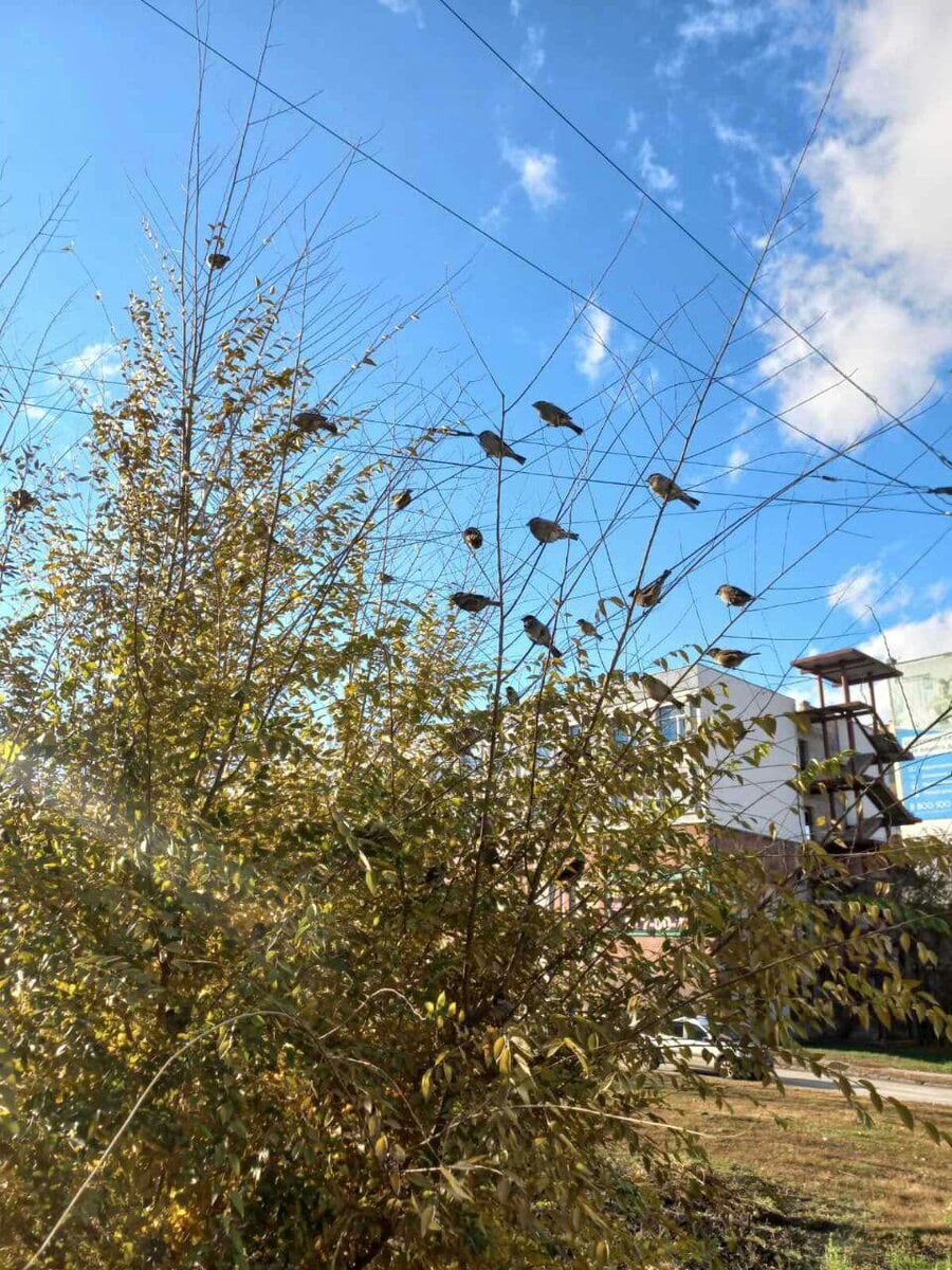 Фото автора.