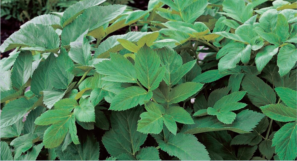 #таро #обучениетаро #таролог #школатаро #матрицасудьбы #таропрогноз #картытаро #таросики #тарологонлайн #раскладтаро 