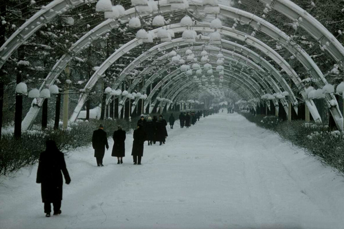 парк в сокольниках зимой