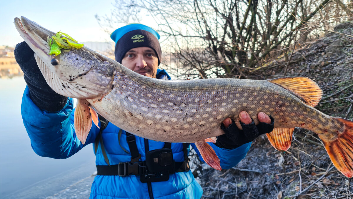 Невероятный рачок или попал под нос щуке!!! | Rostov Fisherman | Дзен