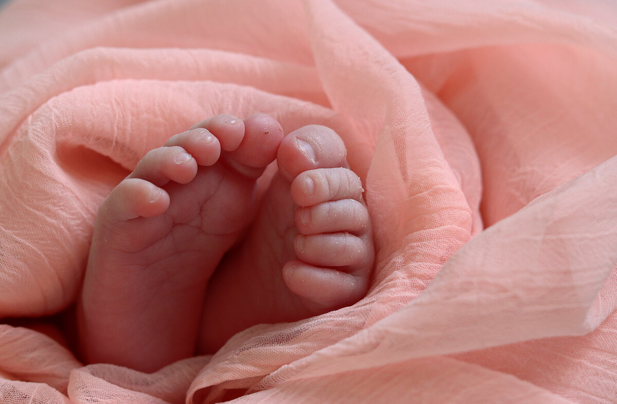 Макрокадры со съемки. Фото автора.