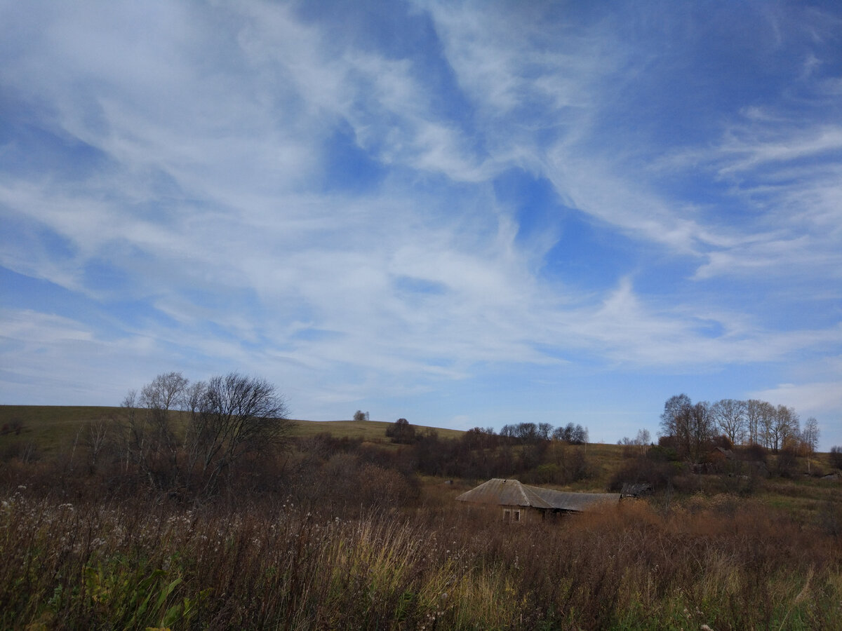 Вид с нашего участка