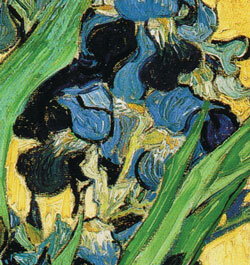 Именно в этом месте картины "Ирисы" предположительно скрыто изображение Мери Келли.  Впрочем, мне его разглядеть не удалось. 