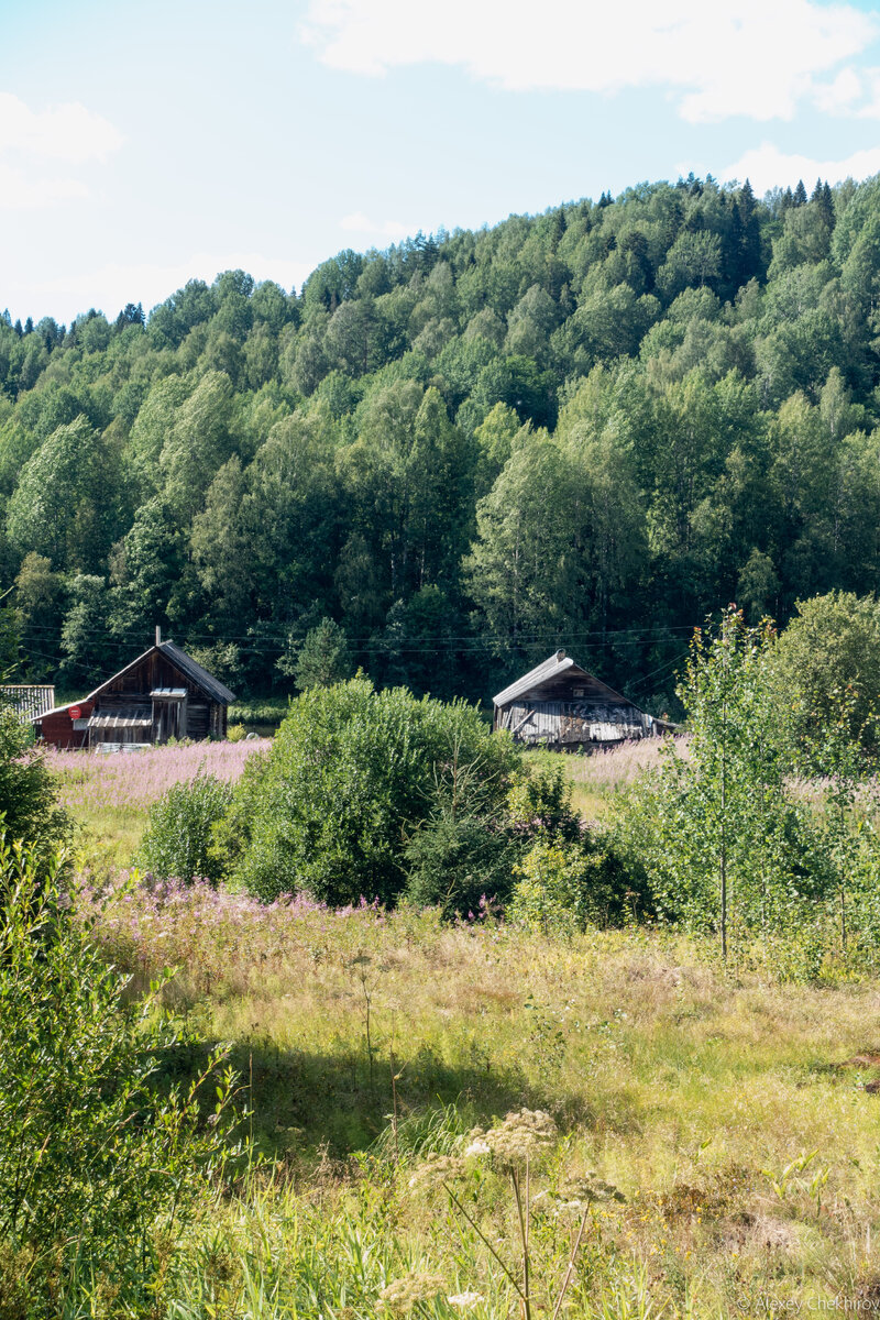 Рядом лес и река