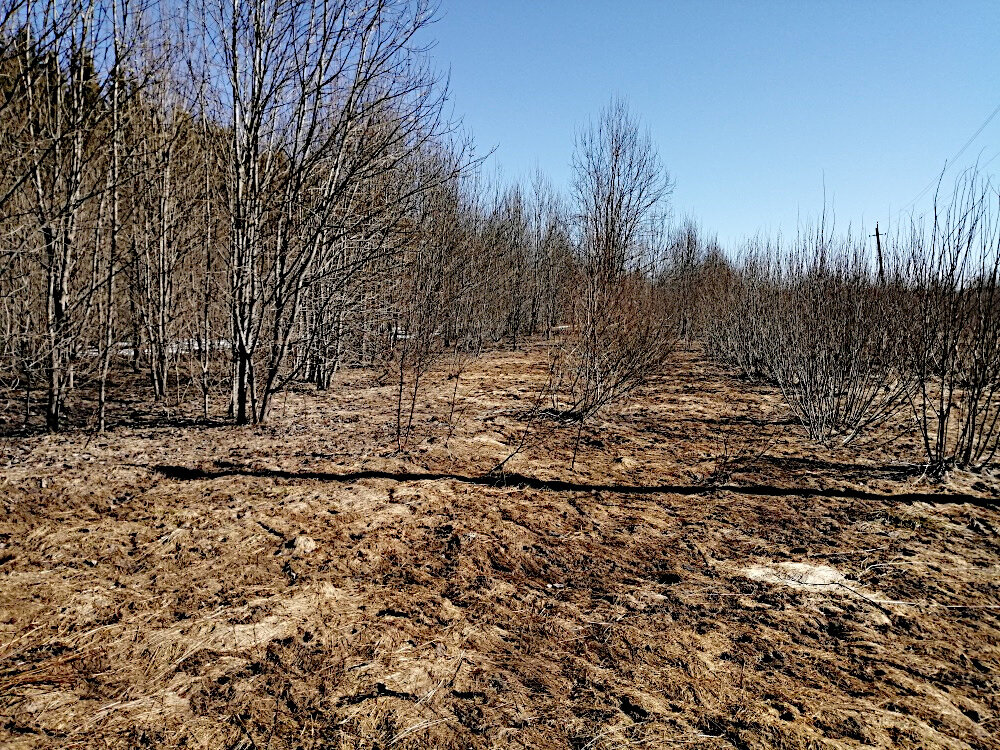 В Тверской области из-за простоя земли компанию оштрафуют на 700 тысяч рублей