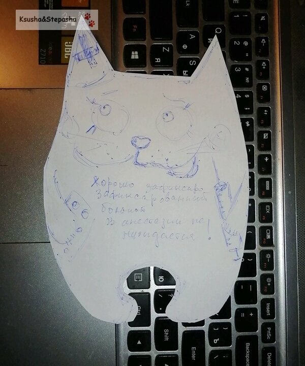 Фото автора