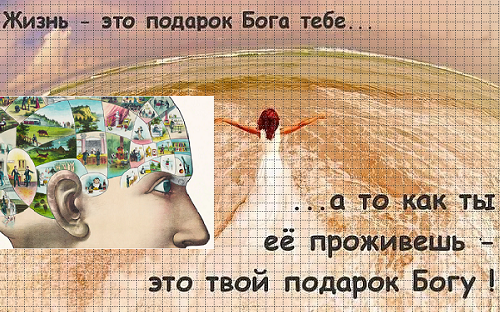 Фрагменты жизни