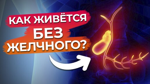 Жизнь без желчного пузыря / Как питаться при удалённом желчном?