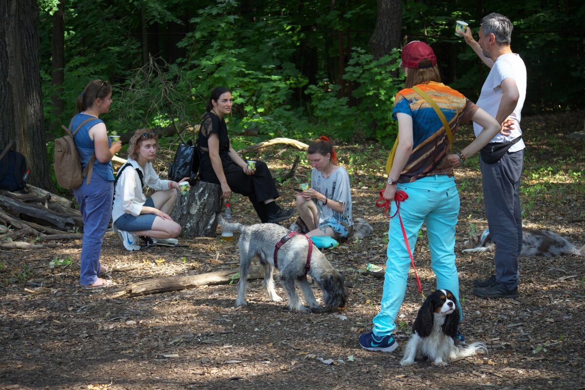 Наша команда слева направо: Юлия Сафонова (психолог, канистерапевт), Анастасия Швыкина (ветеринар-реабилитолог, канистерапевт), Татьяна Хозиева (клинический психолог, руководитель лаборатории канистерапии Canis Academy), Векс (дрессировщик), Милана Падогина (канистерапевт) и Рубен Макаров (канистерапевт). Фото: Александр Падогин