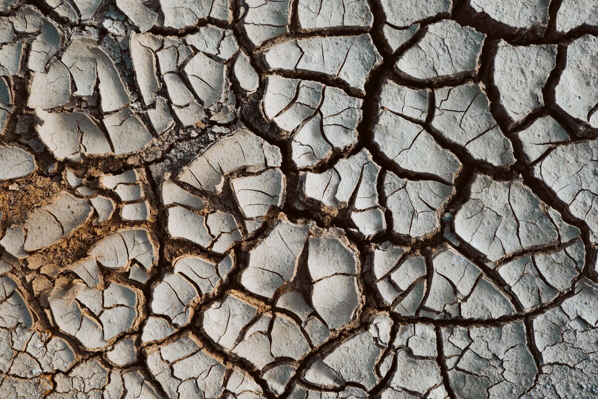    Фото: pexels.com / Doğukan Benli