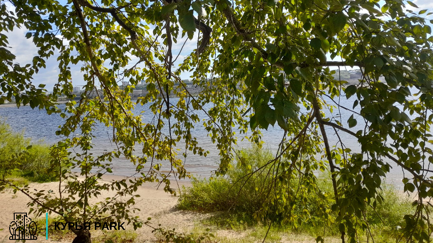 Прогулки вдоль берега в ЖК Курья парк