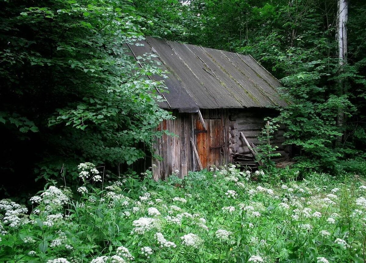 Фото из открытых интернет источников.