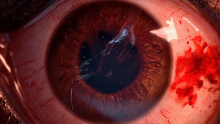  📷    Источник изображений: Blizzard Entertainment