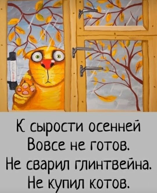 Фото из открытого источника