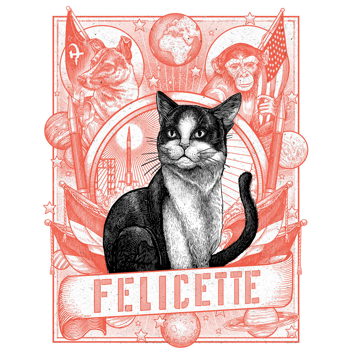 Кошка Фелисетт в космосе. Французская кошка Фелисетт. Французский кот в космосе. 1 кошка в космосе