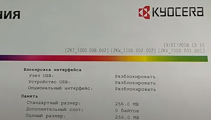 Фото 3. Распечатанная цветная тестовая страница