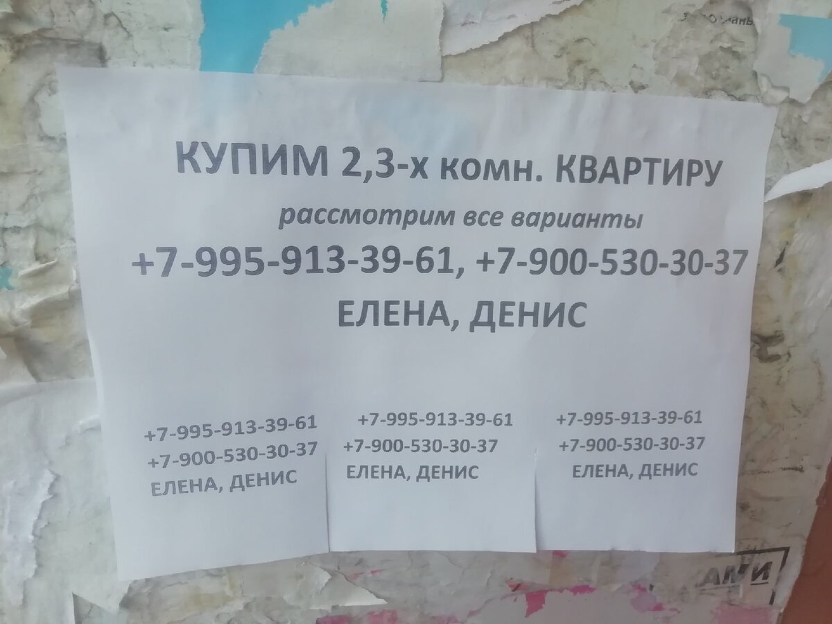 Рисунок 1. Первое поклеенное объявление.