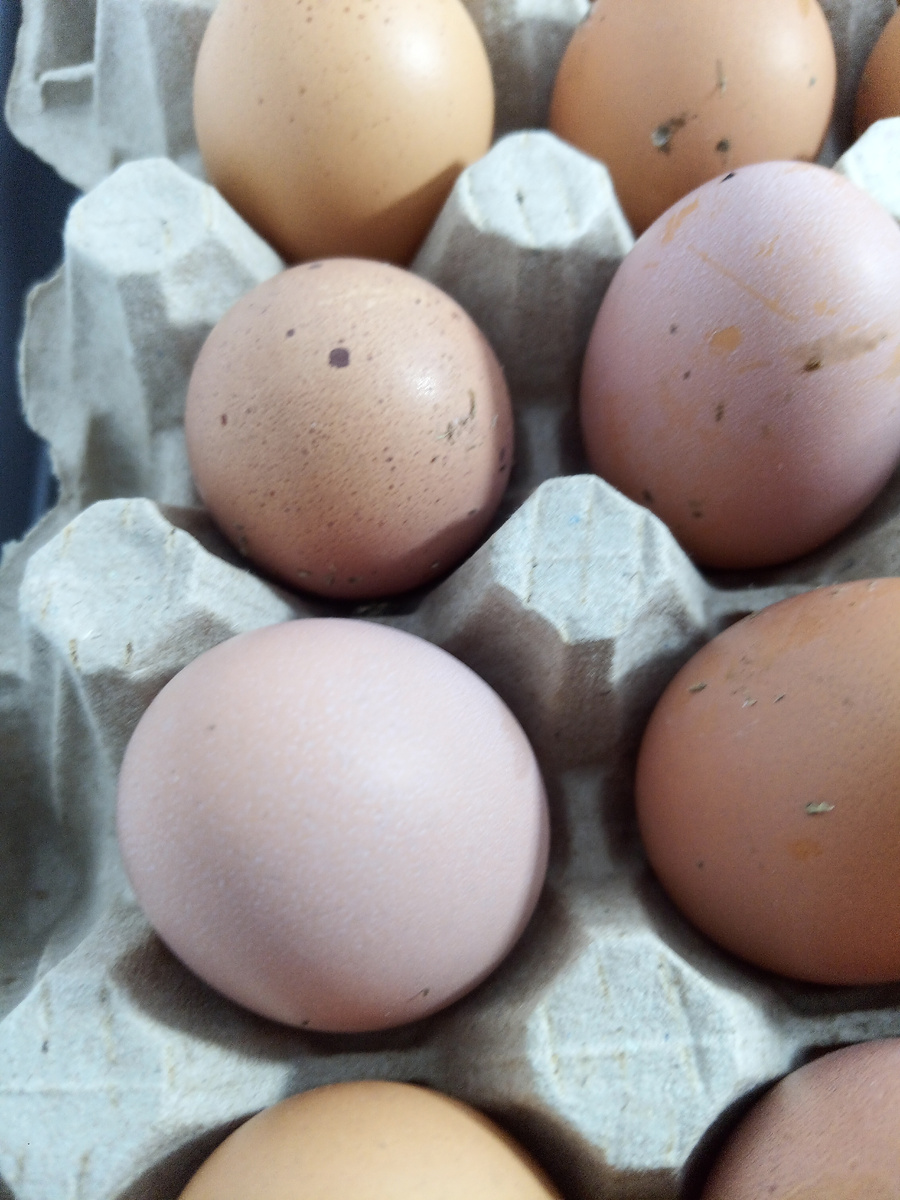 Поделитесь советом как вы решали такую проблему! 