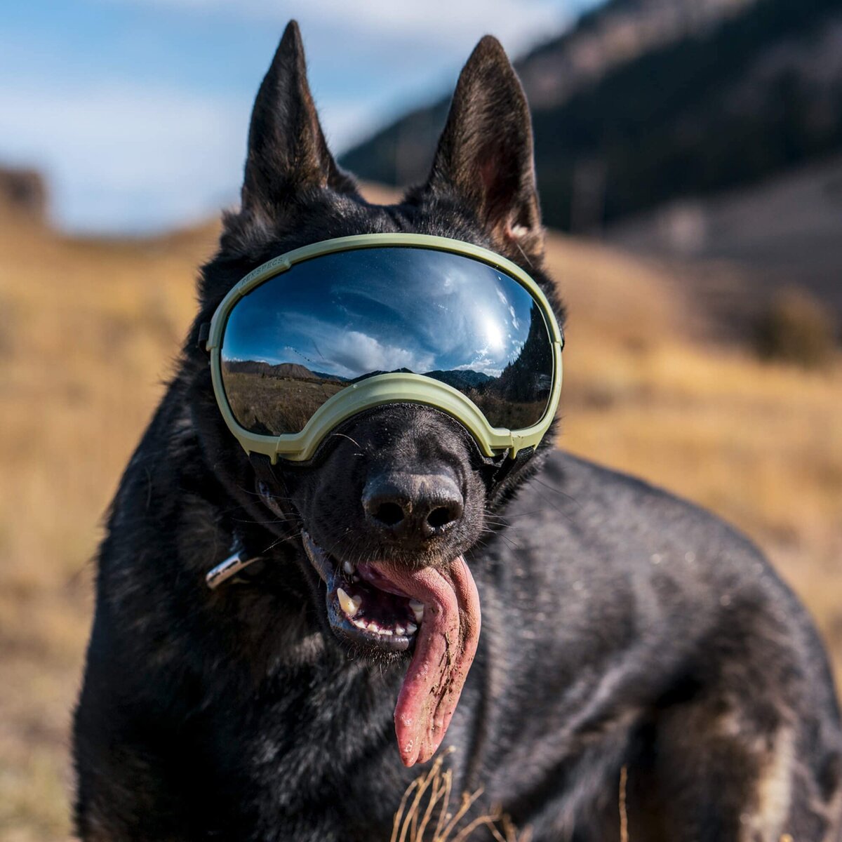 DOGGLES® ILS™ - очки (солнцезащитные) для собак