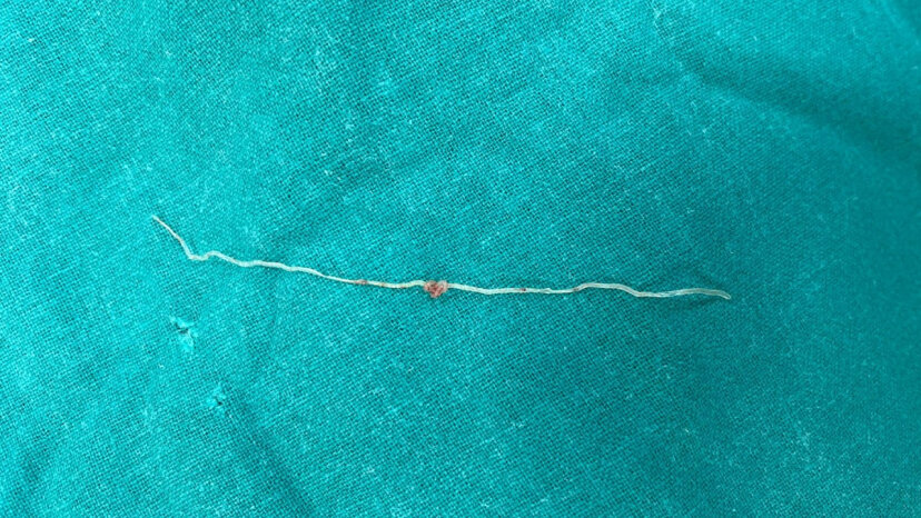     Фото: Министерство здравоохранения Московской области