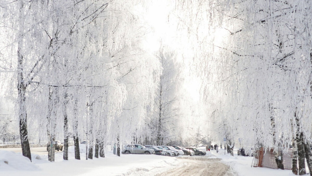     Резкое похолодание пришло в Удмуртию 2 декабря – в регионе установился обширный антициклон. Об этом сообщила пресс-служба Гидрометцентра республики.