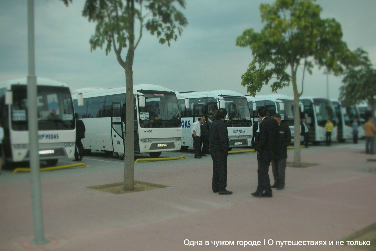 Полчаса на формальности – и мы уже в автобусе