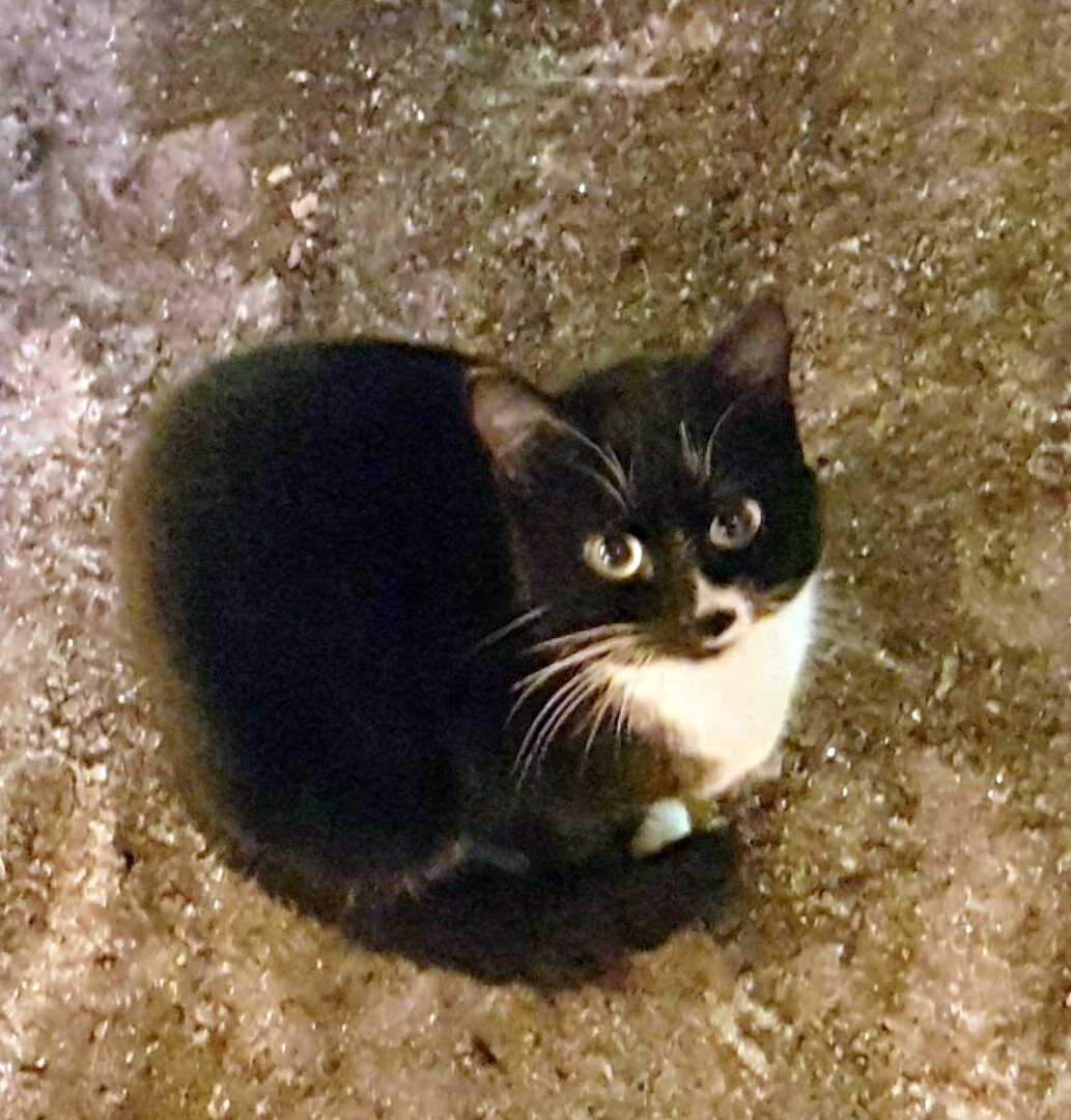 От дикого холода и ветра не спасала даже красивая шубка