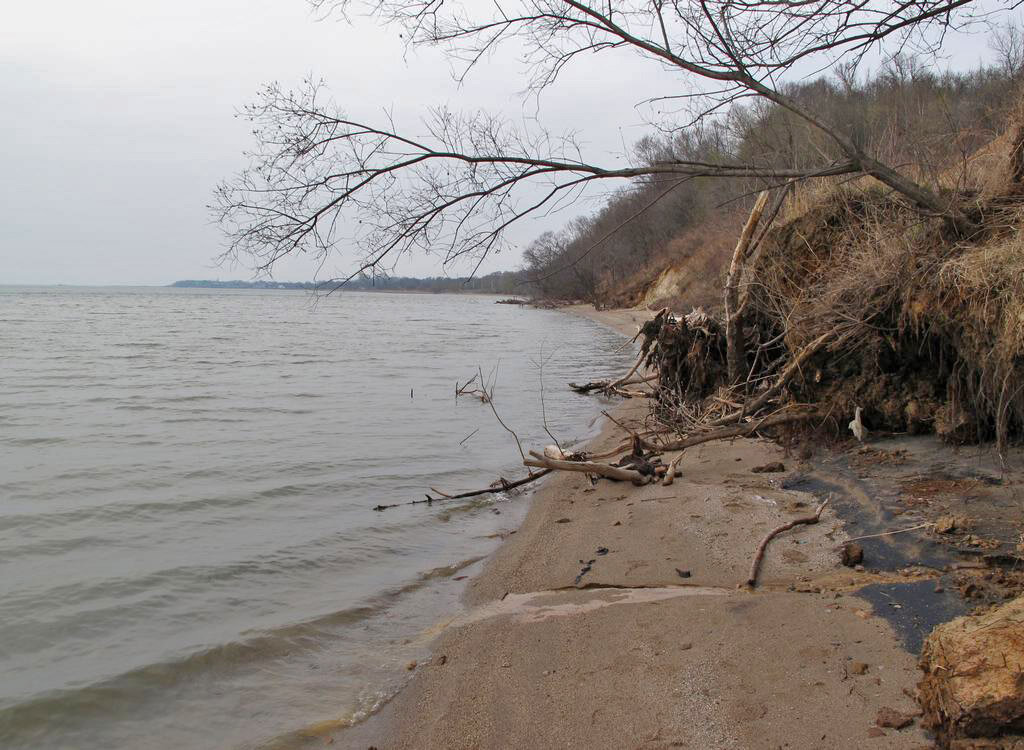 Берег озера Ханка (Приморский край)