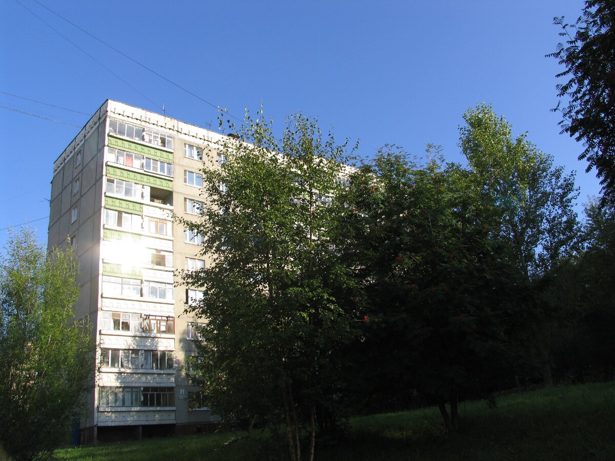 Дом, в котором сняли квартиру в 2006 г.