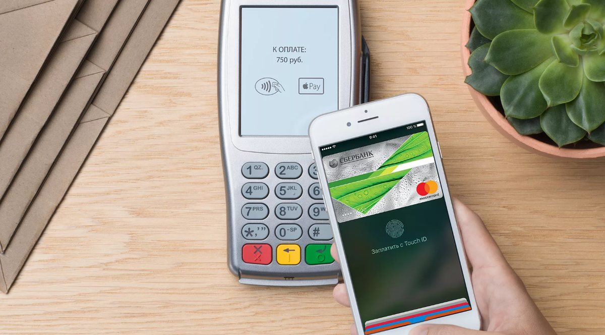 взято с открытых источников