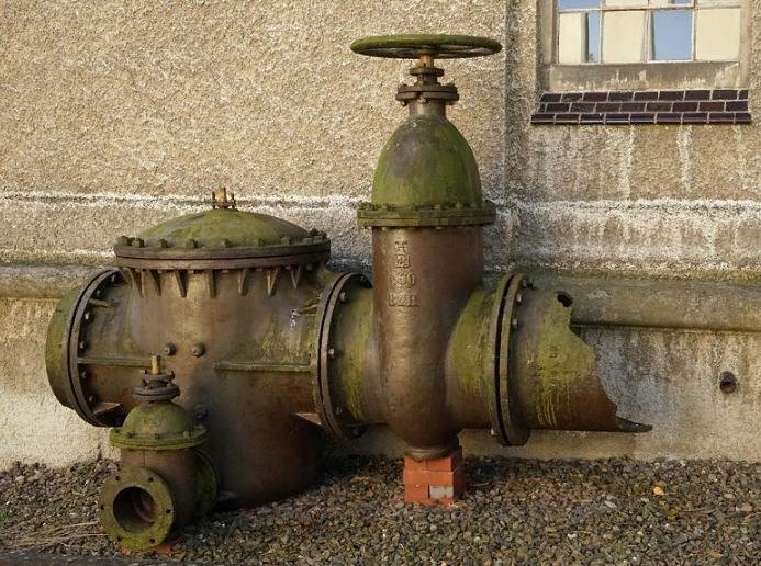 Фото: https://pixabay.com