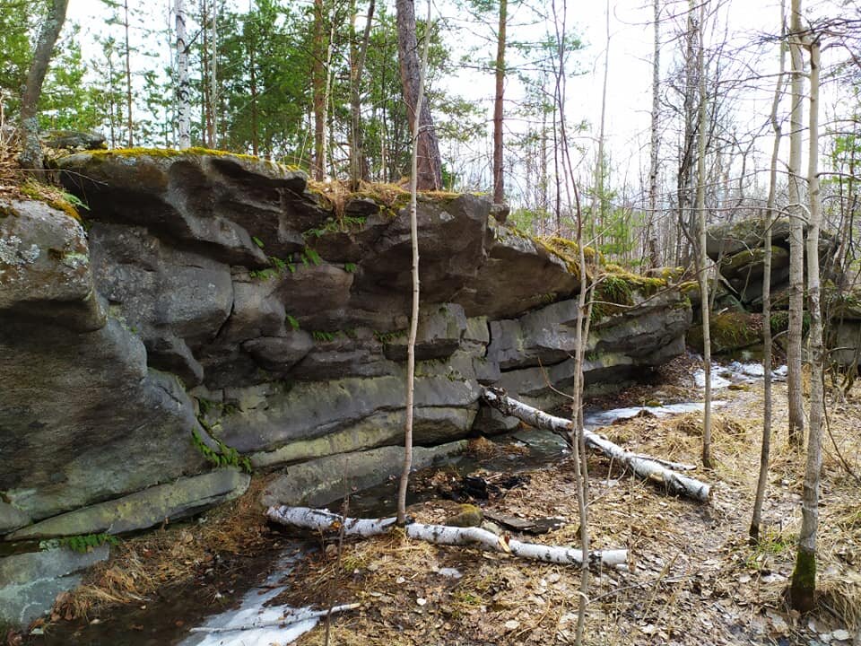 Палкино