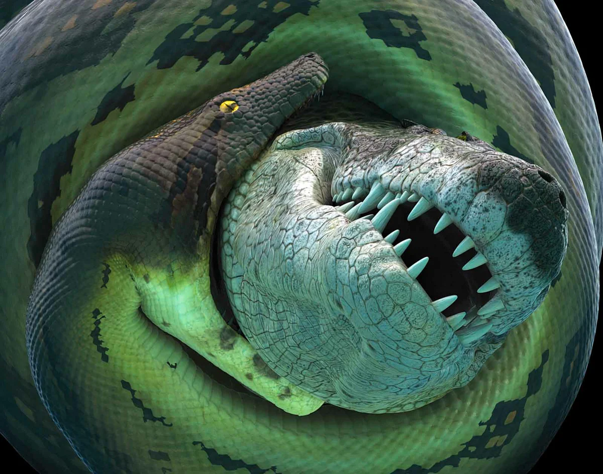 Змея крокодил акула. ТИТАНОБОА змея монстр. Удав ТИТАНОБОА. ТИТАНОБОА И крокодил. ТИТАНОБОА И Анаконда.