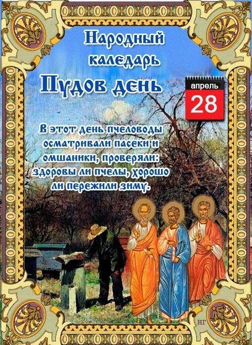 Пудов день 

Дата в 2020 году:28 апреля

Другие названия: Пуд; святой Пуд; День пасечника
Церковное название: Апостолов от 70-ти Аристарха, Пуда, Трофима
Значение: Почтение памяти апостола Пуда
Традиции: Осмотр пчелиных ульев; сбор почек или цветов рябины и калины

Народный праздник Пудов день отмечается 28 апреля 2020 года (дата по старому стилю – 15 апреля). Верующие православной церкви этого числа чтут память апостола от 70-ти Пуда.

История

Пуд жил в I столетии в Риме. Работал высокопоставленным чиновником в римском Сенате. Его дом, как и душа, всегда были открыты для верующих христиан. Помимо простых людей, ему посчастливилось принимать у себя первоверховных апостолов. Позднее из жилища сделали церковь и назвали «Пастырской». По преданиям, ее посещал апостол Павел. Также в ней совершал церковные обряды апостол Петр, когда приезжал в Рим.

Пуд был учеником и последователем апостола Павла. Вместе с ним он ходил проповедовать слово Божие. Его избрали в число 70 апостолов-предвестников, которых послали рассказать о скором приходе Иисуса Христа.

Во времена гонений на христиан при императоре Нероне Пуда схватили и доставили на римский суд. Ему неоднократно предлагали отказаться от христианской веры, но апостол отказался. Он кротко принял смерть от руки палача.

Традиции и обряды

В этот день принято осматривать пчелиные ульи. Пасечники проверяют, как чувствуют себя насекомые после зимы, сколько умерло, есть ли больные. Если на улице уже тепло и зацветают деревья, то пчел выносят на улицу поближе к первоцвету.

Знахари и целители в этот день собирают почки рябины и калины, если они еще не распустились. После того как почка раскроется, она уже считается непригодной для применения в лечении. Если на этих растениях уже распустились цветы, то собирают их.

Если человека мучает зубная боль, то он должен погрызть веточку на рябине и попросить дерево избавить его от страдания. Дальше можно либо пригрозить, что участь веточки постигнет все дерево, либо пообещать, что рябину больше никогда есть не будет. После этого проговоривший заговор никогда не должен есть плоды с этого дерева.