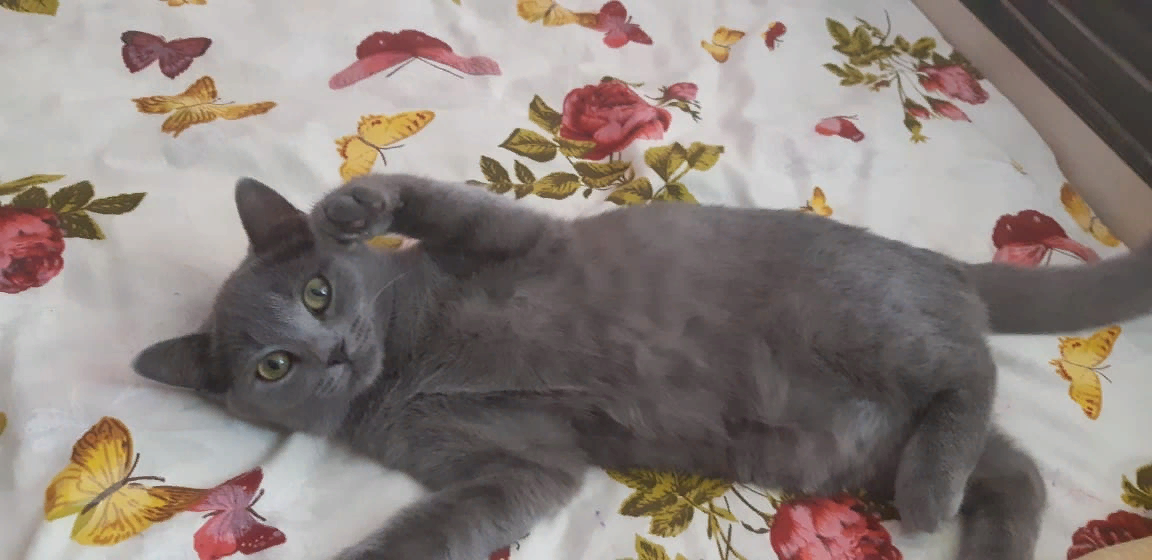 Фото из личного архива