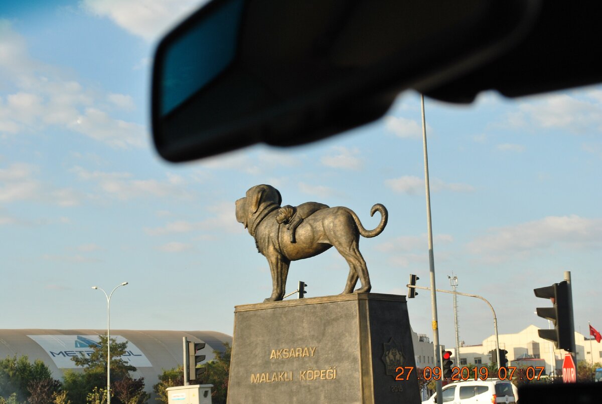 Памятник собаке породы Турецкий Малакли.