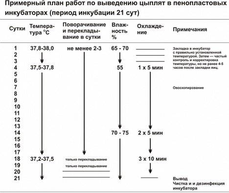 Температура в инкубаторе (температурные режимы)