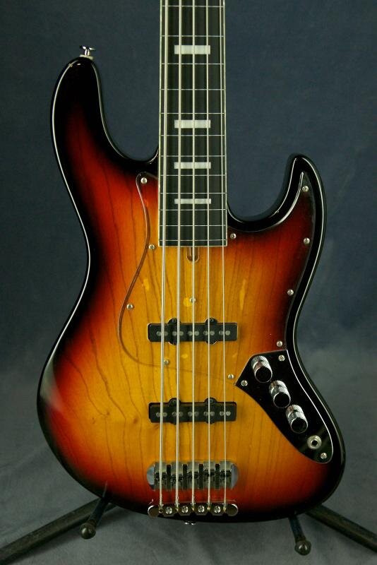 Пяти струнная гитара