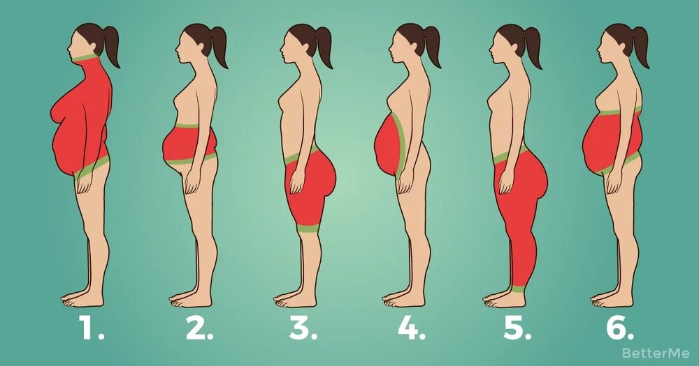 Карта жировых отложений