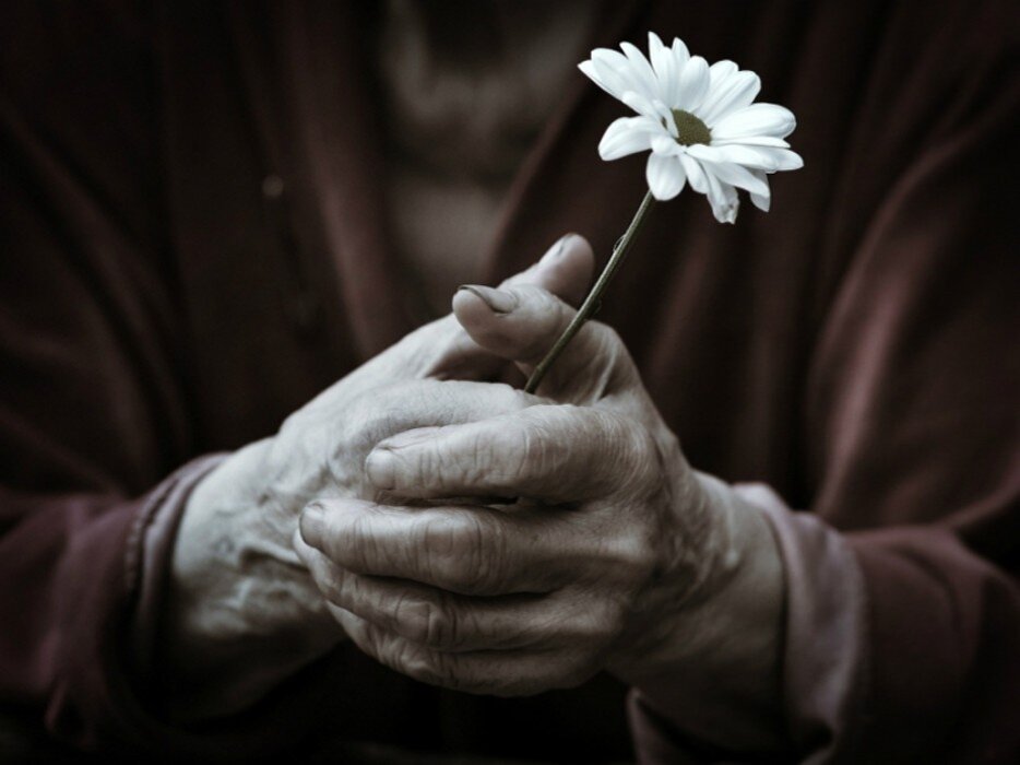 Источник: Яндекс. Картинки