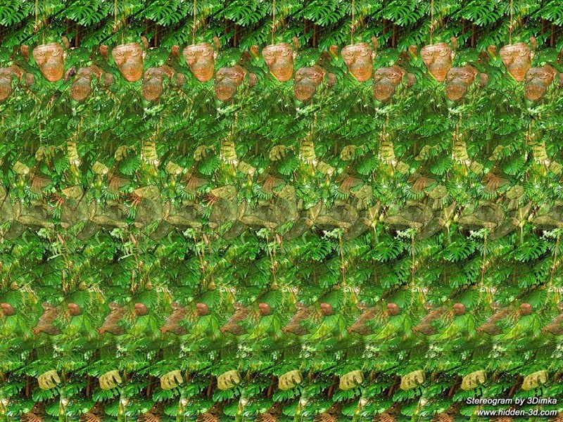 Обезъянки))