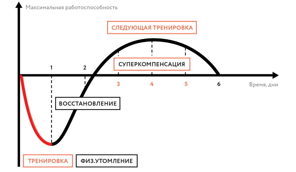 График суперкомпенсации. Изображение взято из Яндекс картинки
