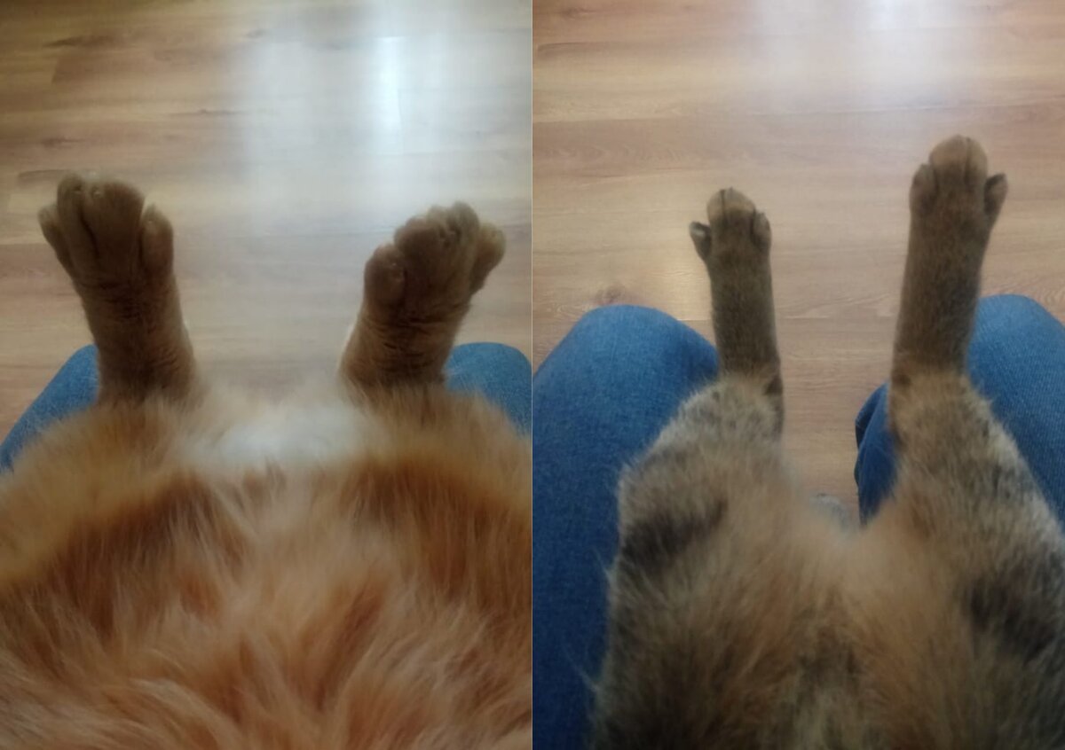 «Экспресс маникюр» 