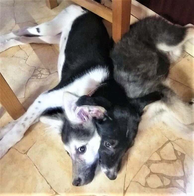 спасенная душа астрахань дзен