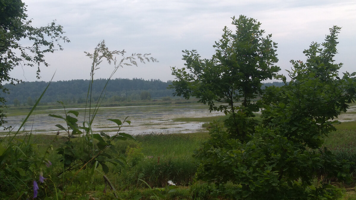 За городом поможет пробежка на свежем воздухе.